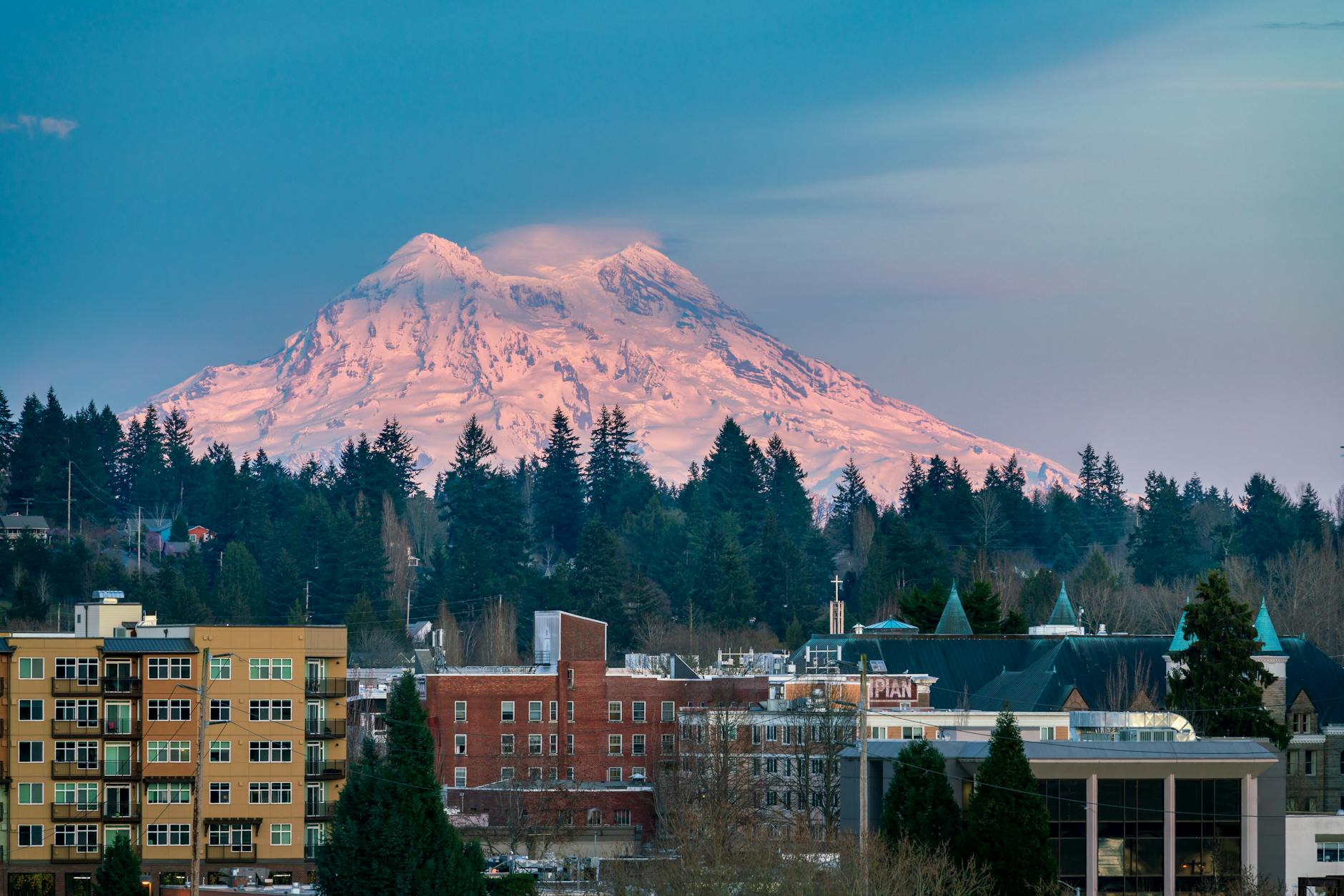 Indie Bookstores in Olympia, Washington | Redfin Feature